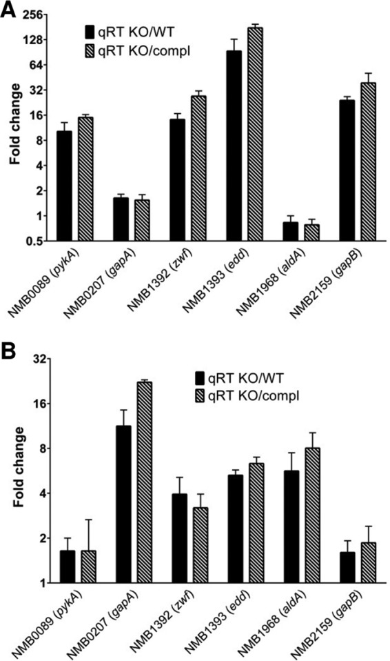 FIG 3