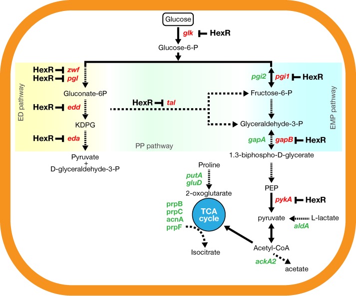 FIG 6