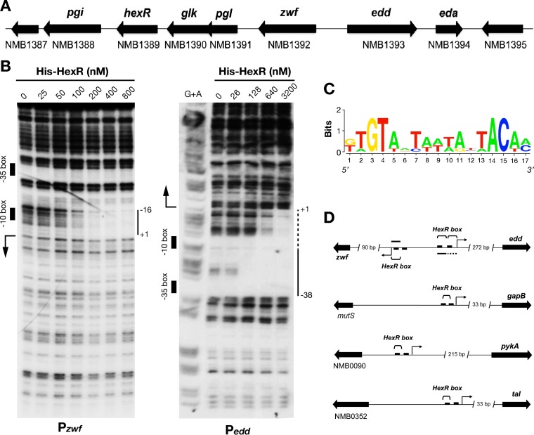 FIG 4