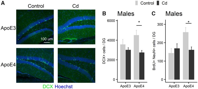 Figure 10.