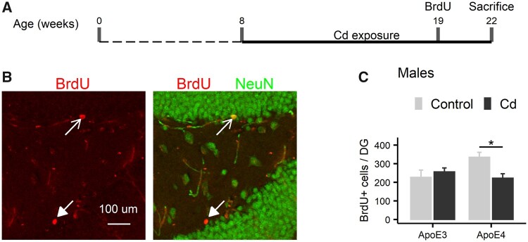 Figure 9.