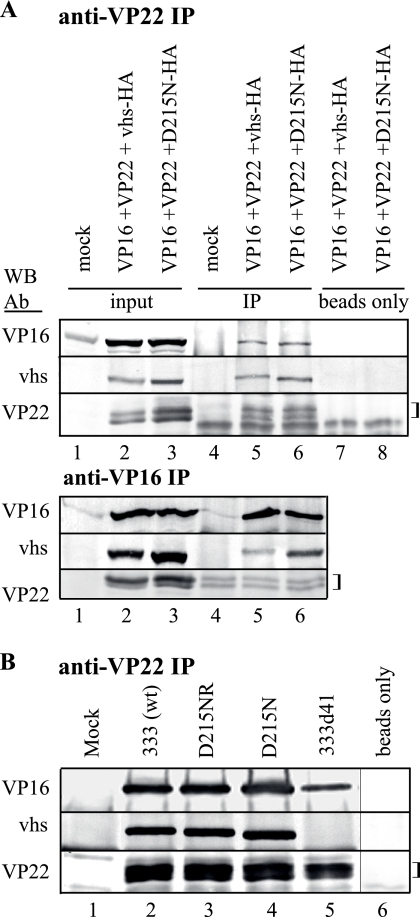 FIG. 5.