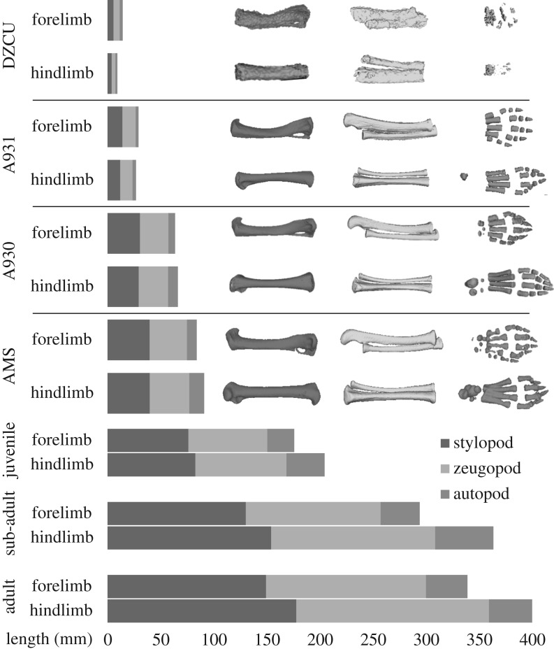 Figure 10.