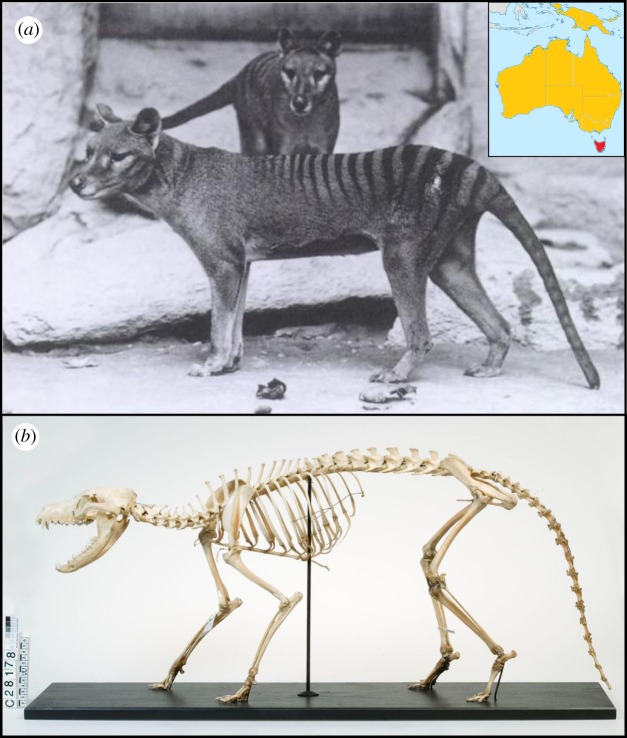 Figure 1.