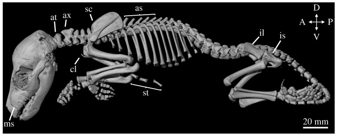 Figure 7.