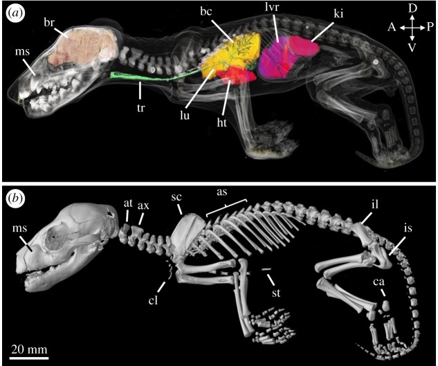 Figure 6.