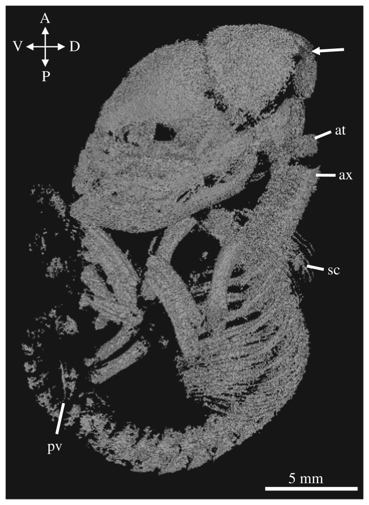 Figure 4.