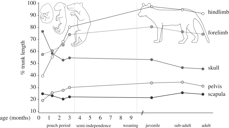 Figure 9.