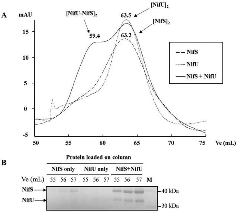 Fig. 8