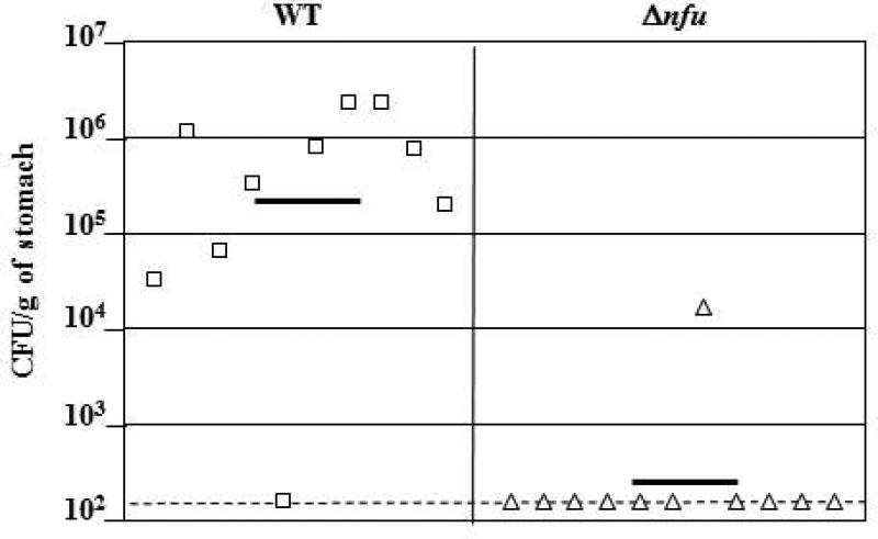 Fig. 5