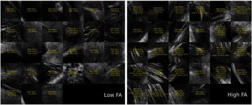 Fig. 12