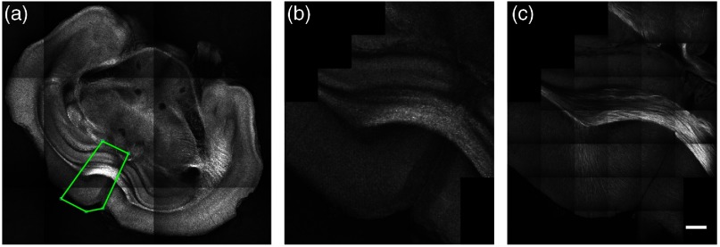 Fig. 6