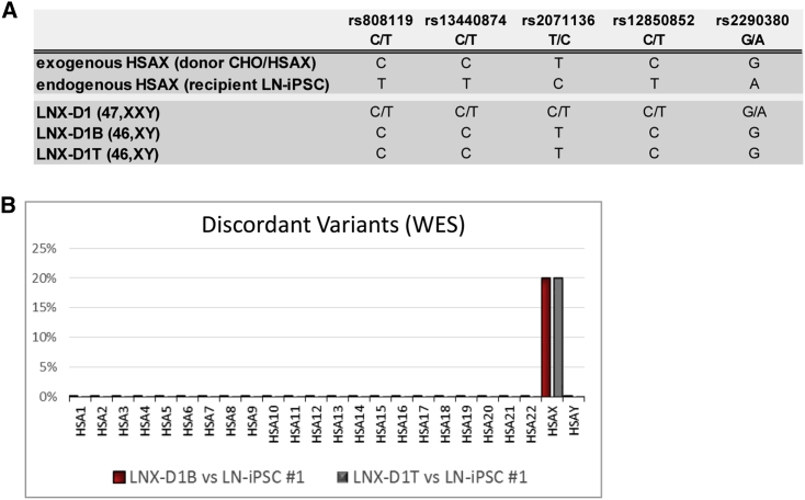 Figure 4