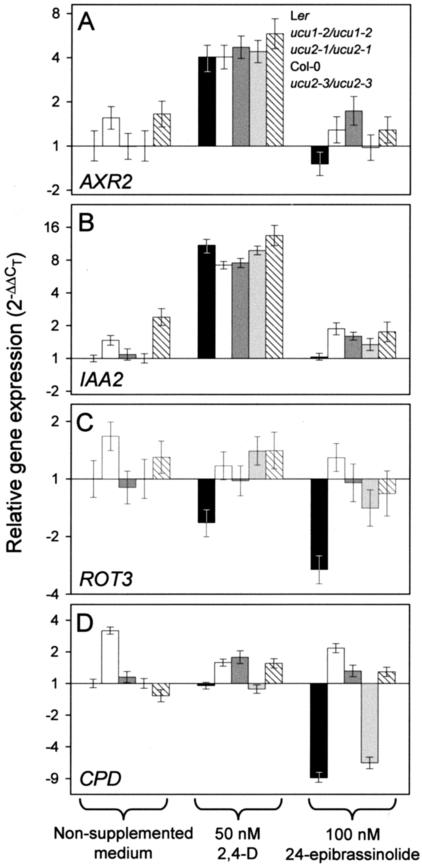 Figure 6.