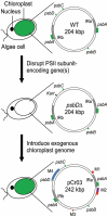 Figure 2.