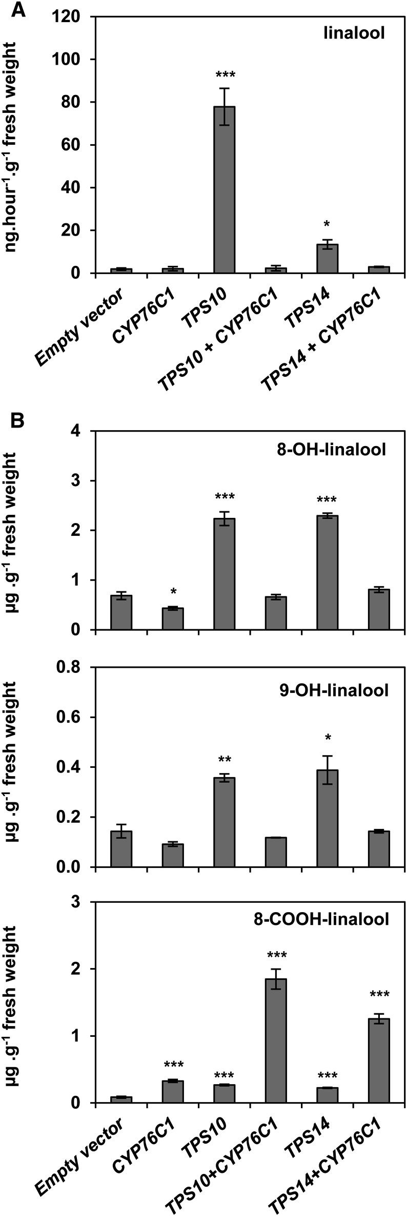 Figure 7.