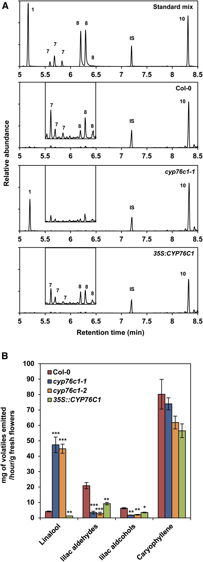 Figure 5.