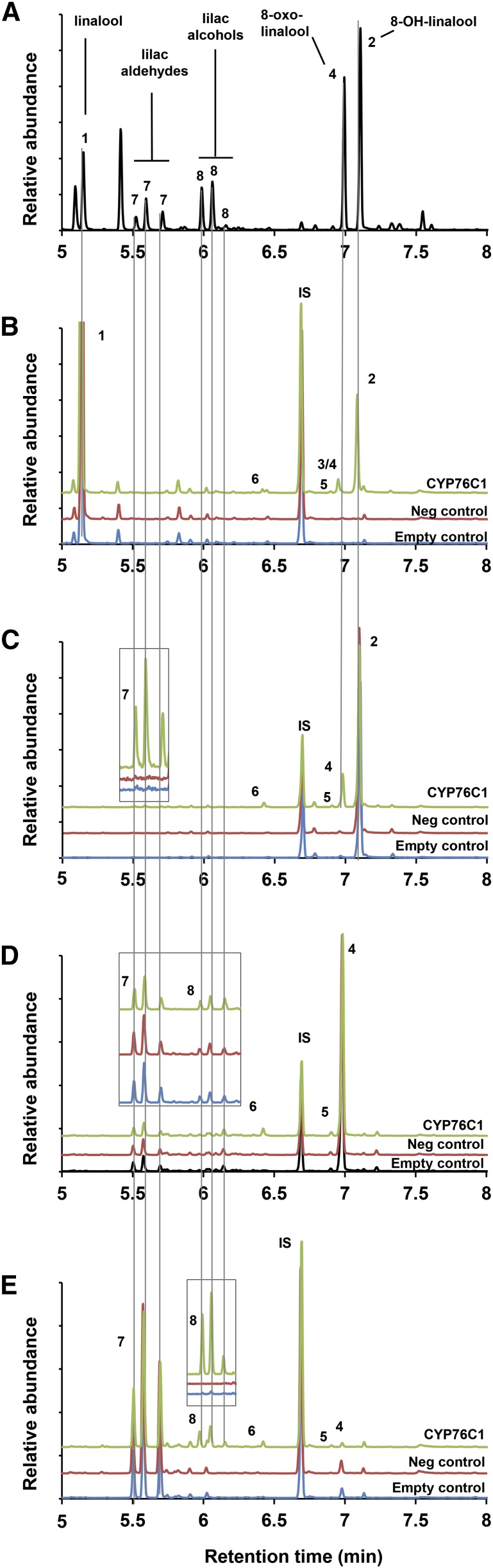 Figure 3.