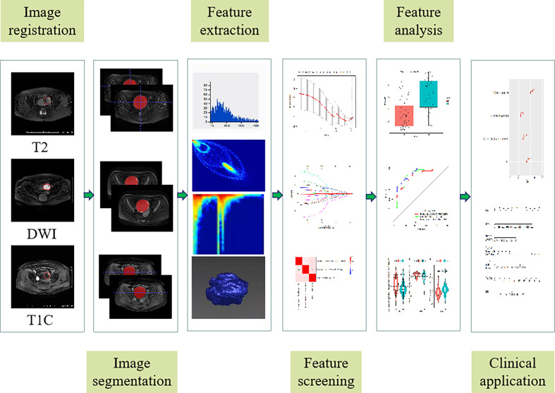 Figure 2