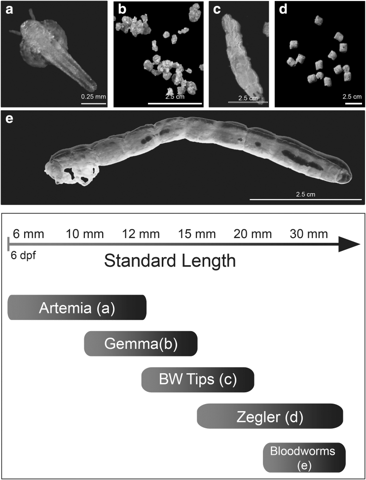 FIG. 1.