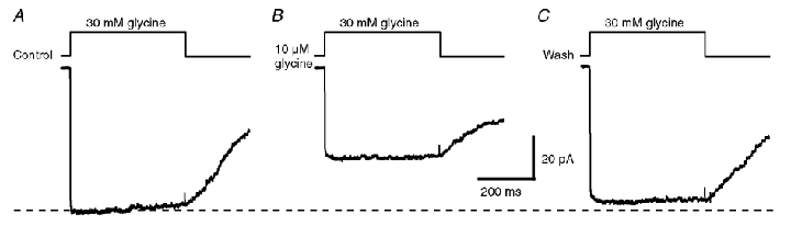 Figure 8