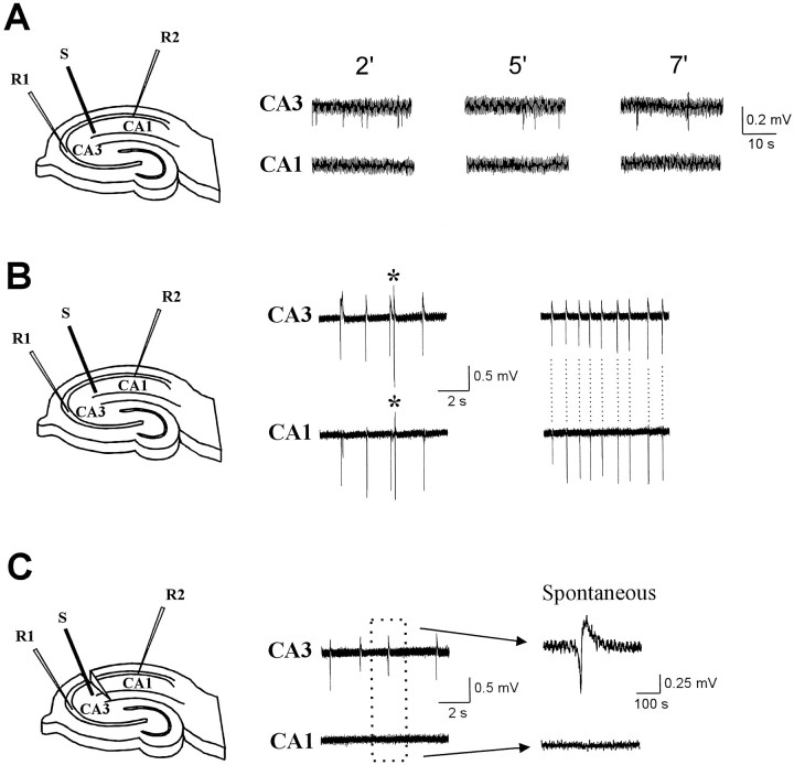 Fig. 11.