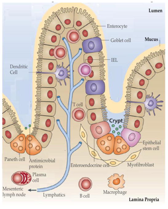 Fig 2