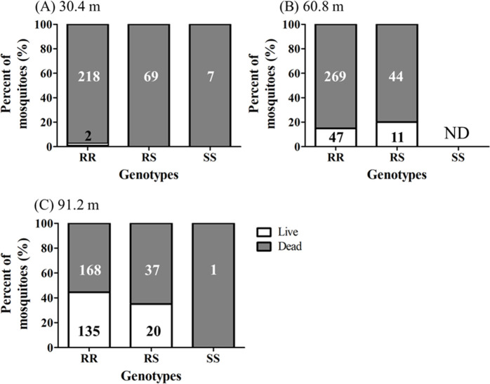 Fig 10