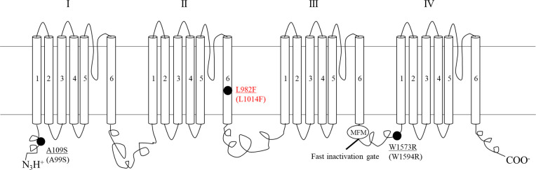 Fig 1