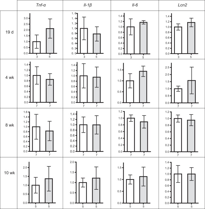 FIG 3