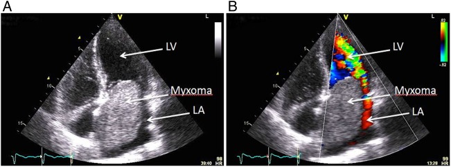 Figure 1