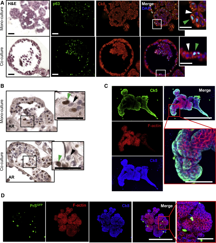 Figure 2