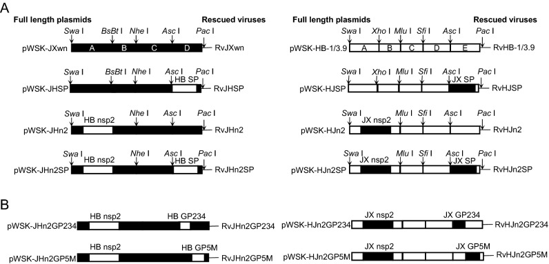 Fig. 1