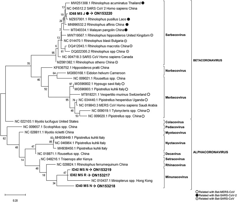 Figure 2.