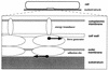 FIG. 11