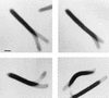 FIG. 4