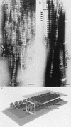FIG. 5