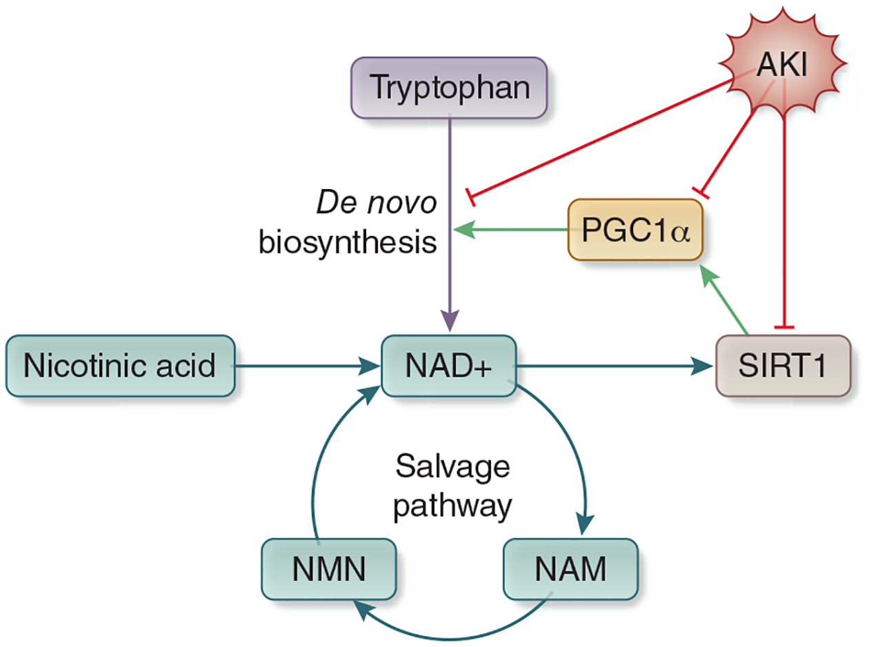 Figure 5: