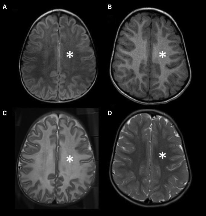 Figure 1