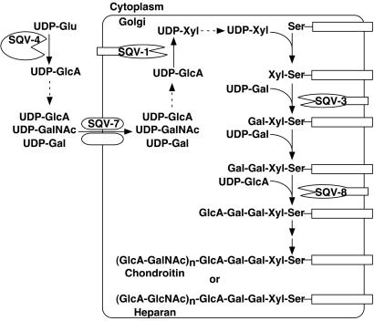 Fig 5.