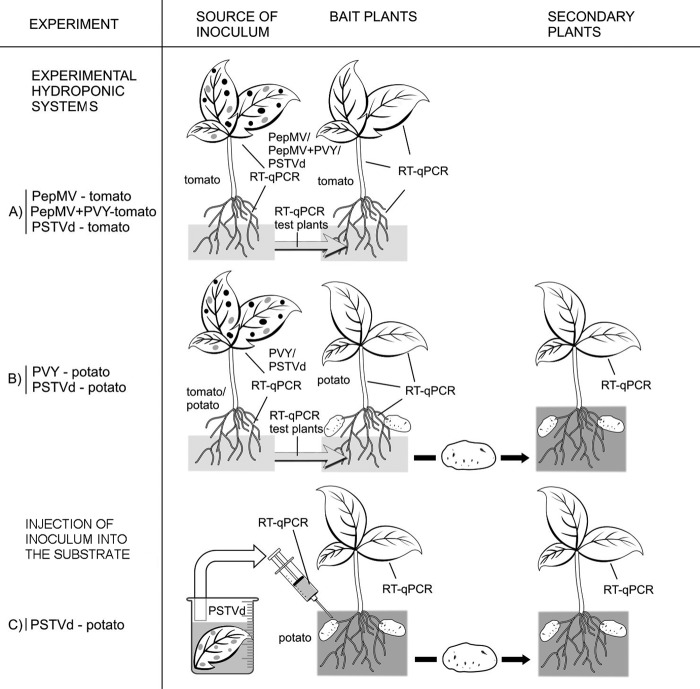 FIG 1