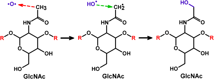 Fig. 7