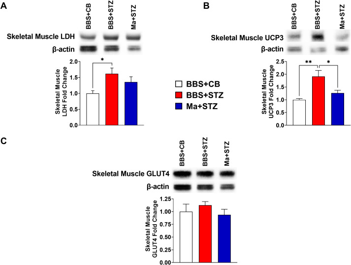 Figure 3