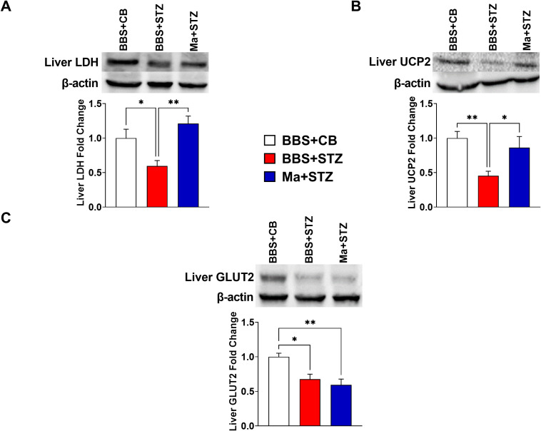 Figure 4