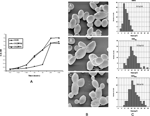 FIG. 1.