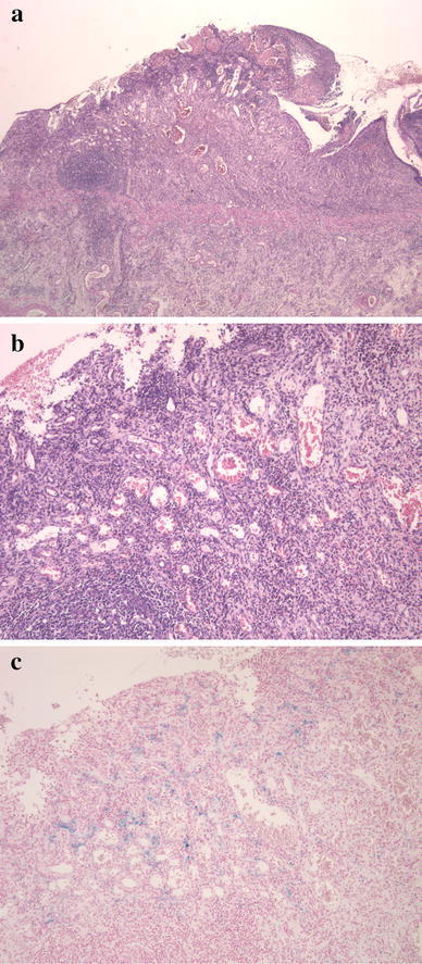 Fig. 6