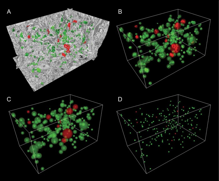 Figure 1.
