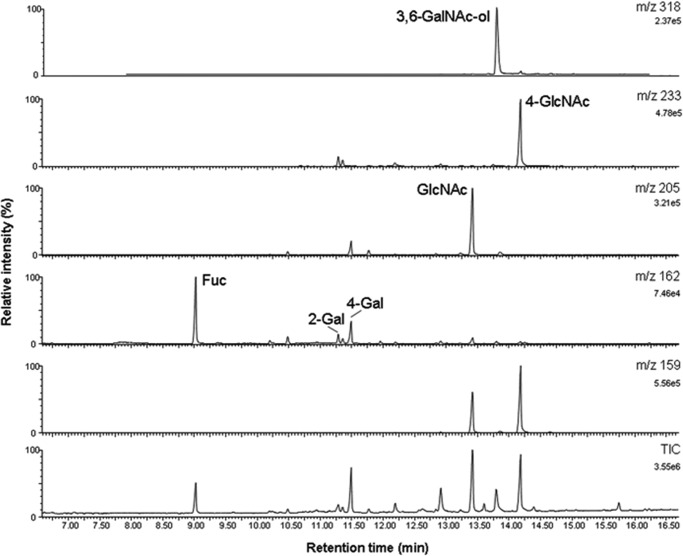 FIGURE 7.