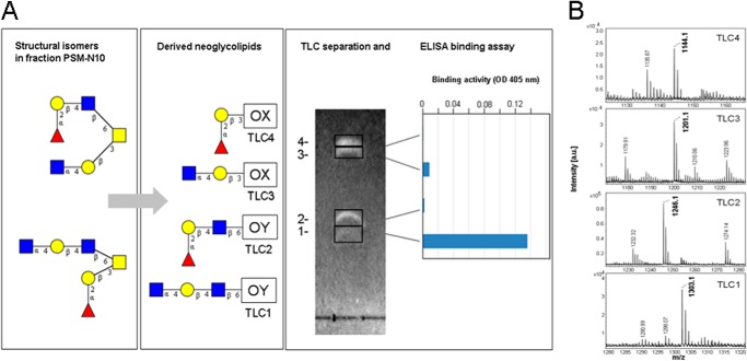 FIGURE 9.