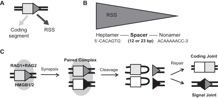 FIG 1